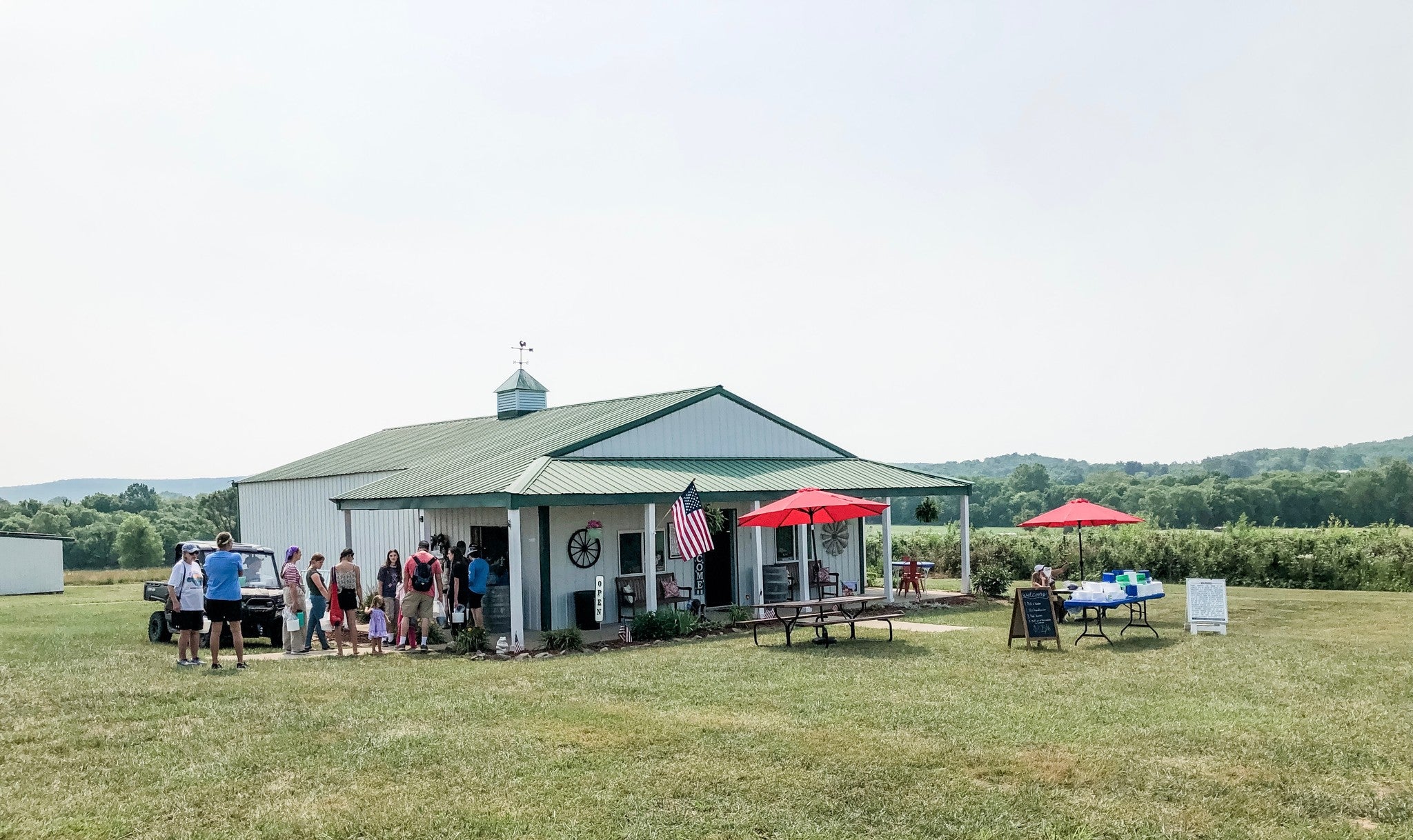Liberty Blueberry Farms FamilyOwned Farm in Farmington, Missouri